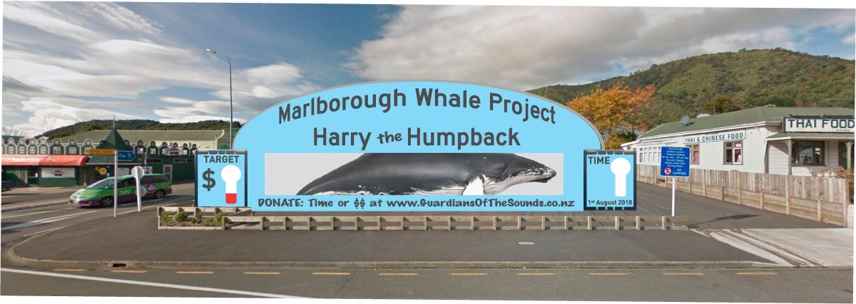 Marlborough Whale Project